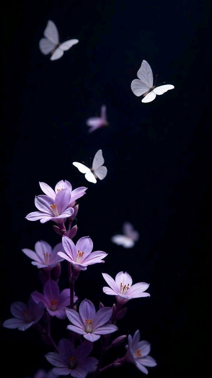 Rich Plum Floral Desktop Background