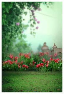 50 Free Stunning HD Wedding Backdrops To Download