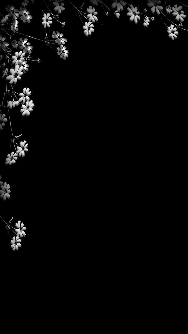 Elegantes Fundos Pretos com Florzinhas Brancas