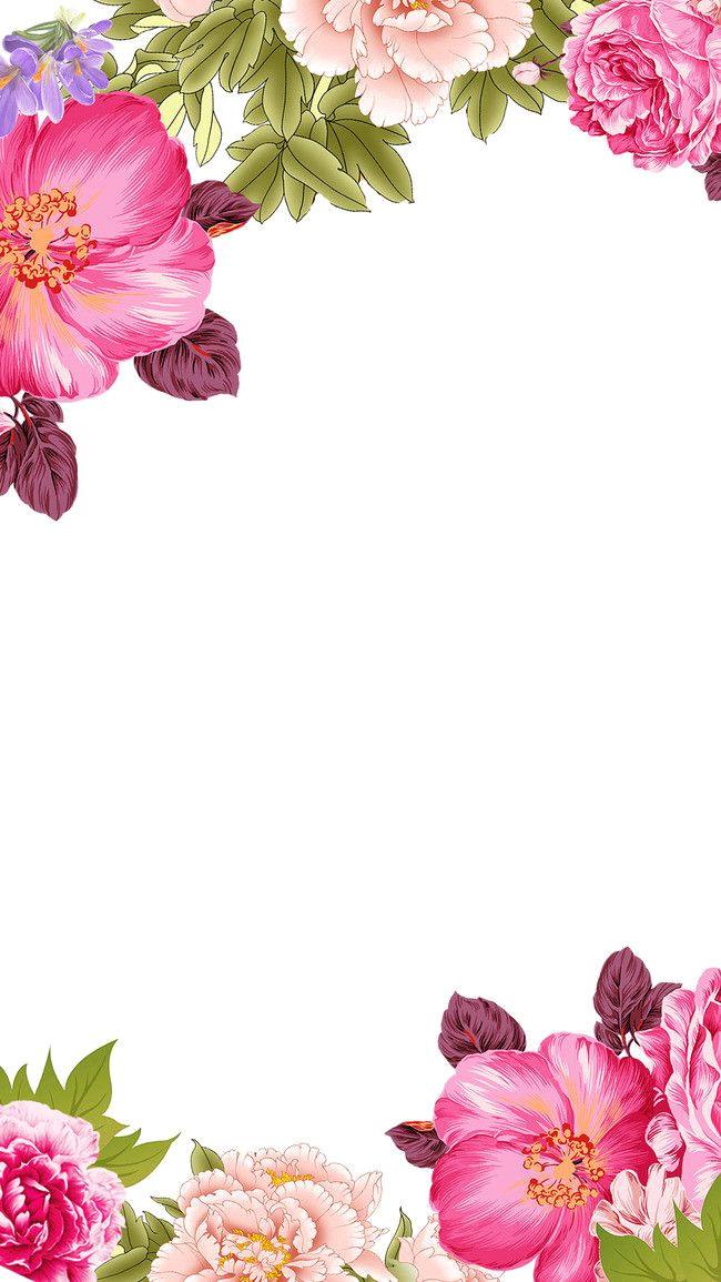 Free Beautiful Decorative Flower Frames & Backgrounds to Download Now