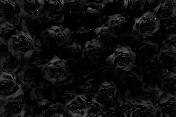 Rose Wallpaper Inspiration: 136,400+ Royalty-Free Designs