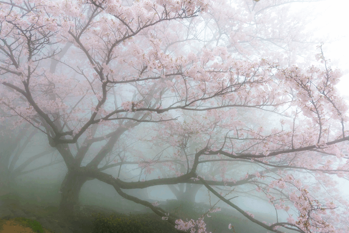 5 Shocking Decluttering Mistakes You’re Making