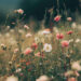 Blossoming Grasslands: Nature’s Beauty Blossoming Grasslands: Nature’s Beauty