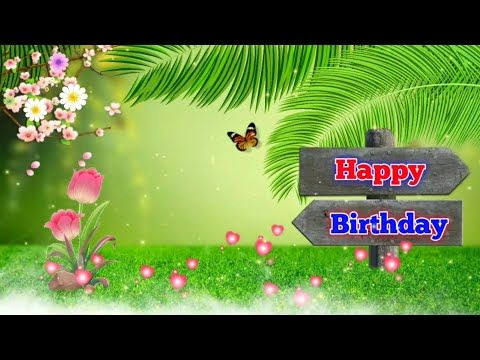 Happy Birthday Background Video Magic