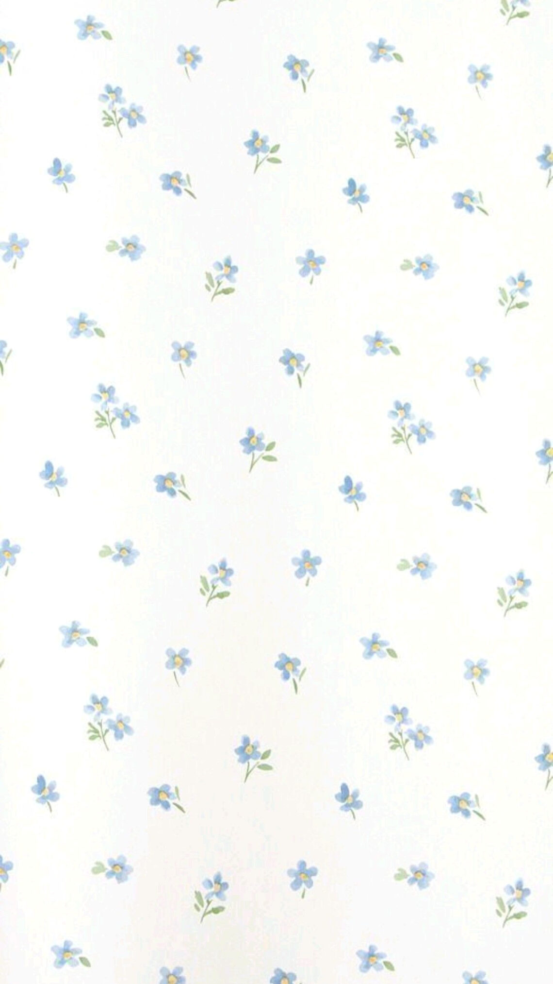 Calming Blue Wallpapers for Serene Home Spaces