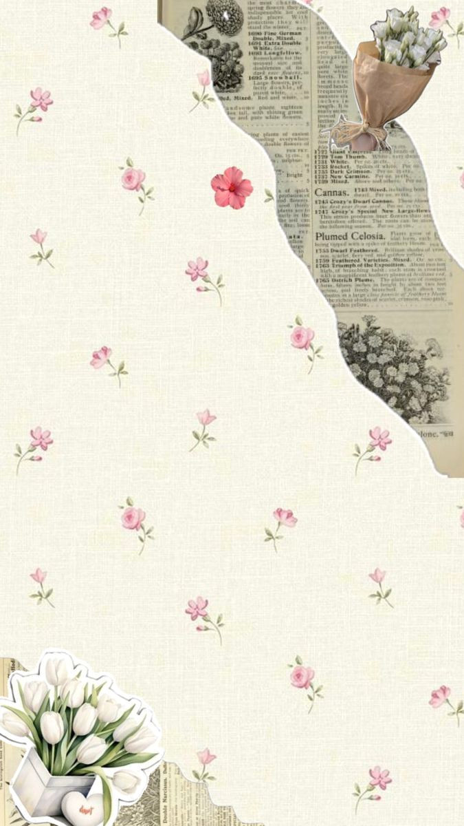 Birthday Magic: Make It Unforgettable