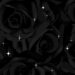 Ethereal Black Roses: Glittery Magic in Your Walls