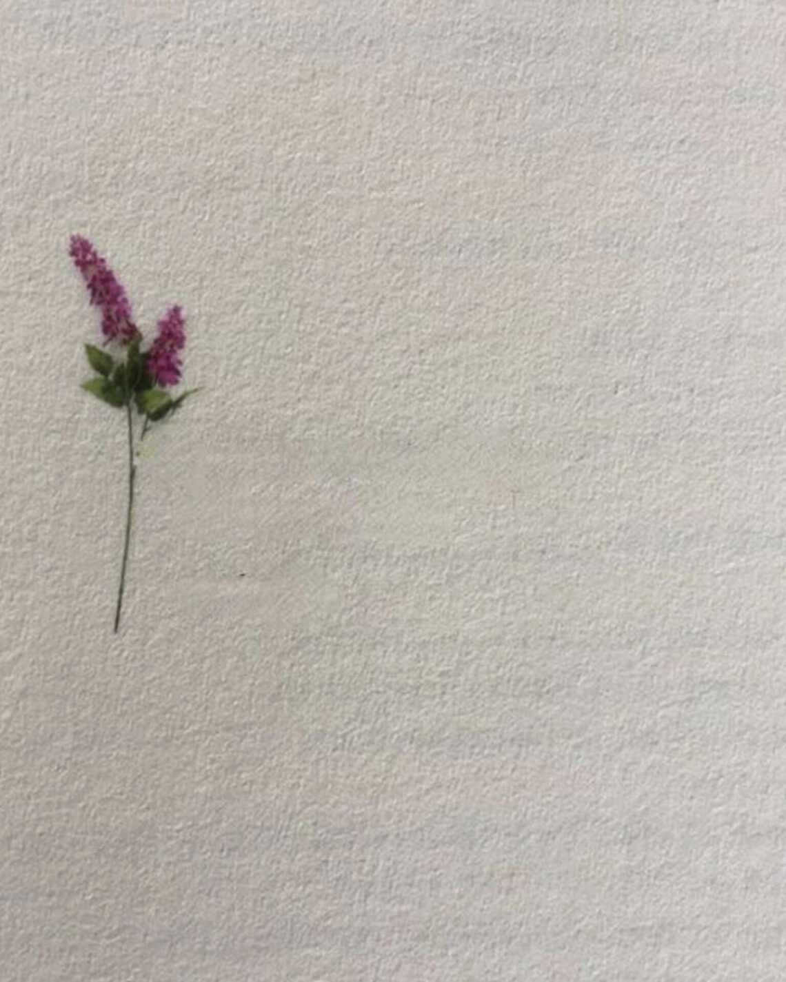 Spill Your Brain: Write Down Everything