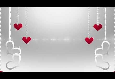 Elegant Wedding Background Animation Elegant Wedding Background Animation