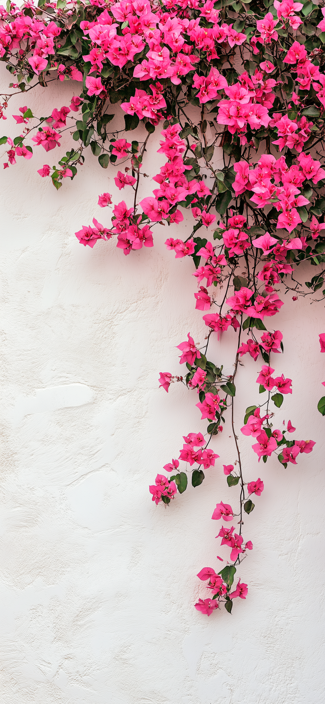 Unleash Your iPhone’s Unique Style