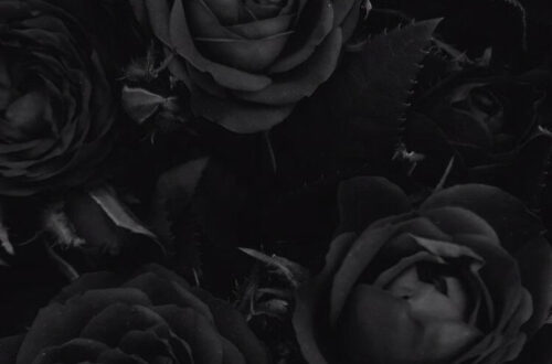 Rebel in Red: 10 Stunning New Looks Rebel in Red: 10 Stunning New Looks