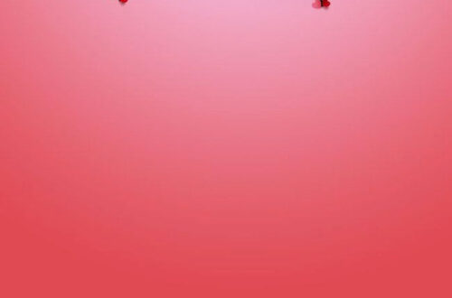 Peach Love Backgrounds for Weddings: Free Romantic PNGs & Vectors Peach Love Backgrounds for Weddings: Free Romantic PNGs & Vectors