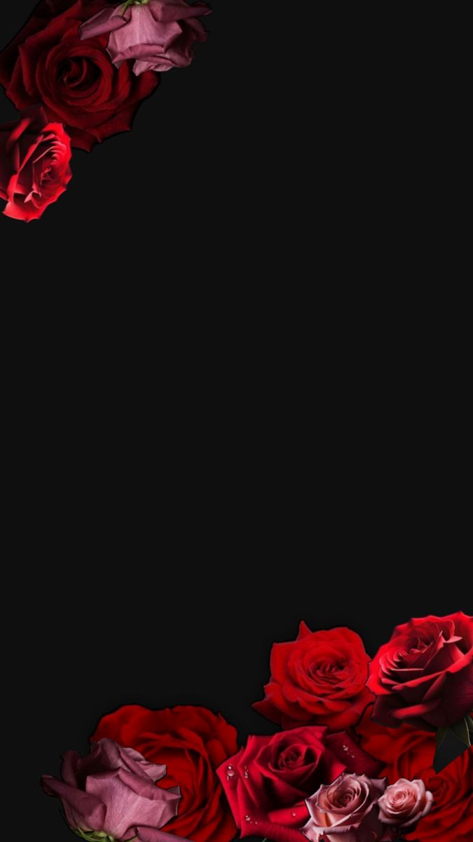 Rose Wall Decals for a Romantic Home