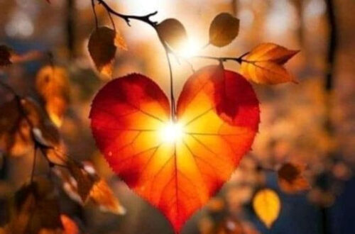 Autumn is Here: Cozy Up to the Ultimate Season.