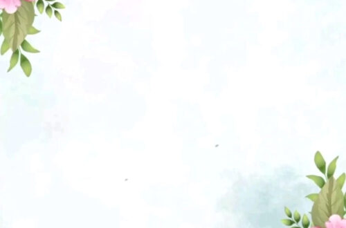 Free Wedding Invitation Video Templates