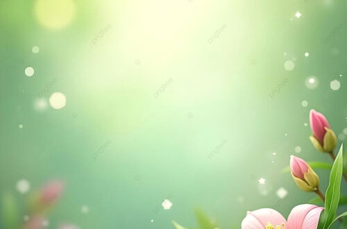 Free Sun-Kissed Flower Wallpapers for Your Home