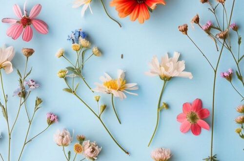 Epic iPhone Wallpapers to Die For — 50+ Top Picks