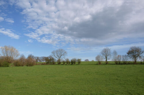 100+ Free Landscape Textures for Your Next Project 100+ Free Landscape Textures for Your Next Project