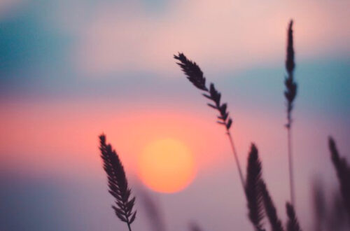 10 Citations Pour Vivre Le Rêve! 10 Citations Pour Vivre Le Rêve!