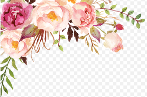 Free Watercolor Flower Transparent PNGs for Your Thanks Cards