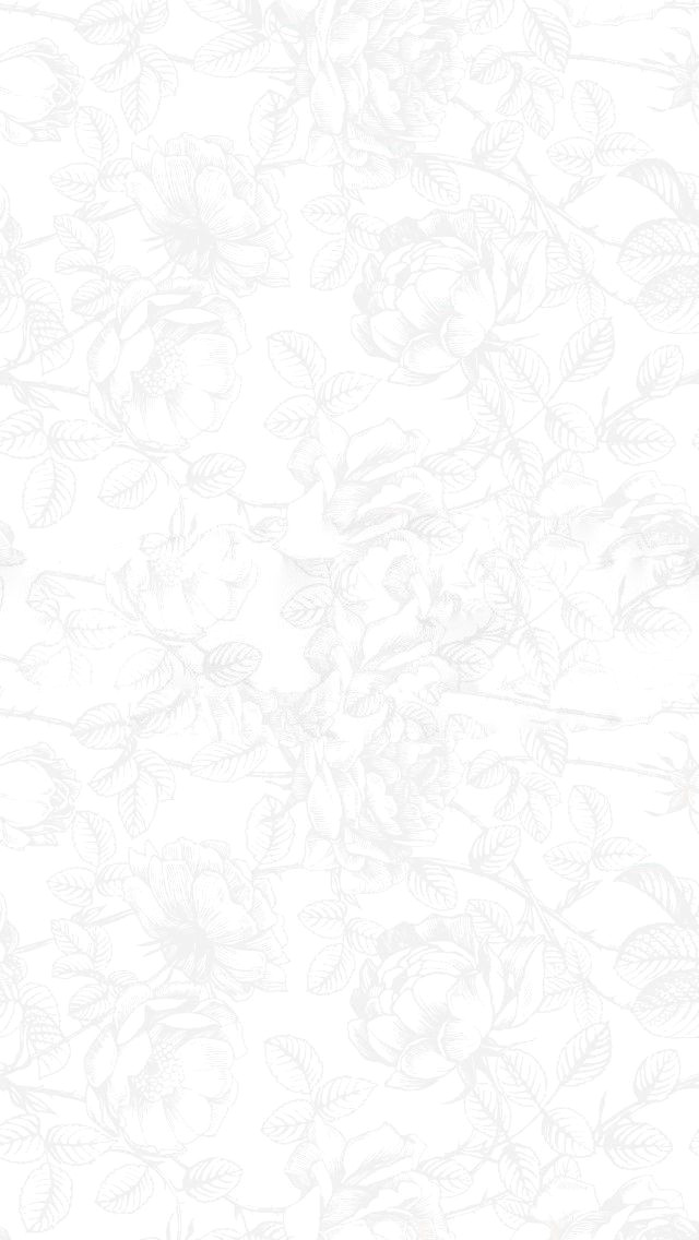 Unlock the Power of Visual Discovery