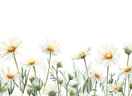 Beautiful White Floral Watercolor Backdrops