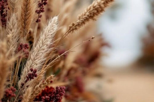 Boho Fall Wedding Decor Ideas to Steal