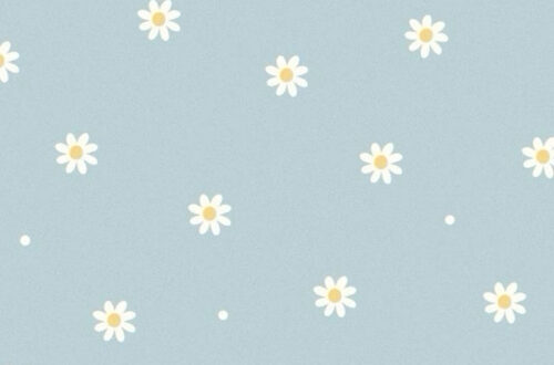 35 Lovely Minimal Daisy iPhone Wallpapers