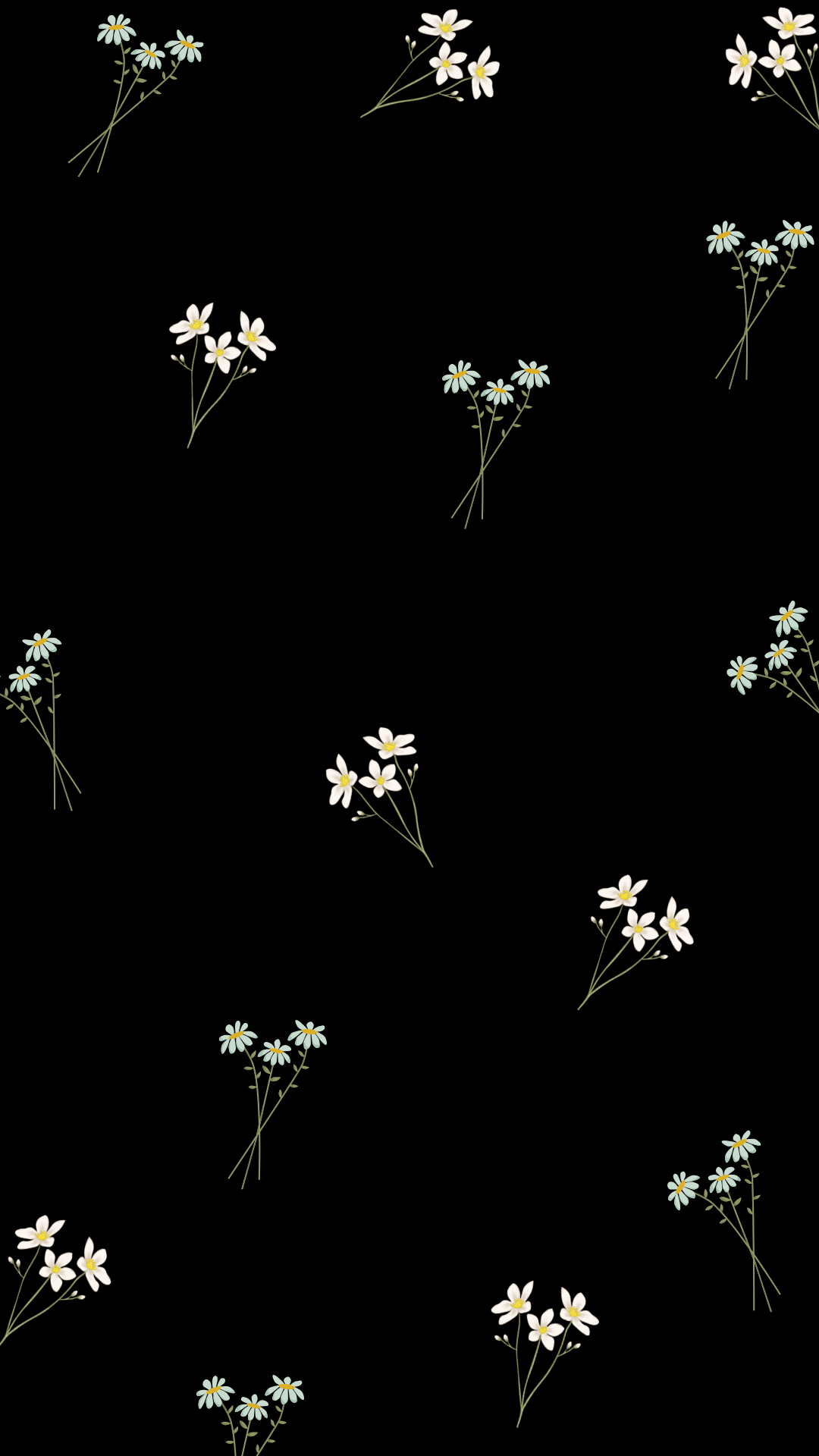 Mysterious Nights: Black Flower Wallpaper