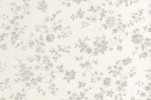 Spring into Growth with Rostoboii Spring into Growth with Rostoboii