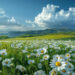Free AI Daisies: Breathtaking Cloudy Scene to Download Now