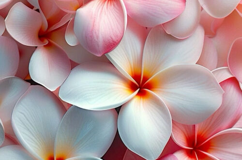 Transform Your Lock Screen in Seconds