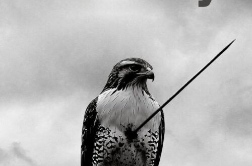 Unlock the Secrets of D.A.R.K: Discover the Power Within Unlock the Secrets of D.A.R.K: Discover the Power Within