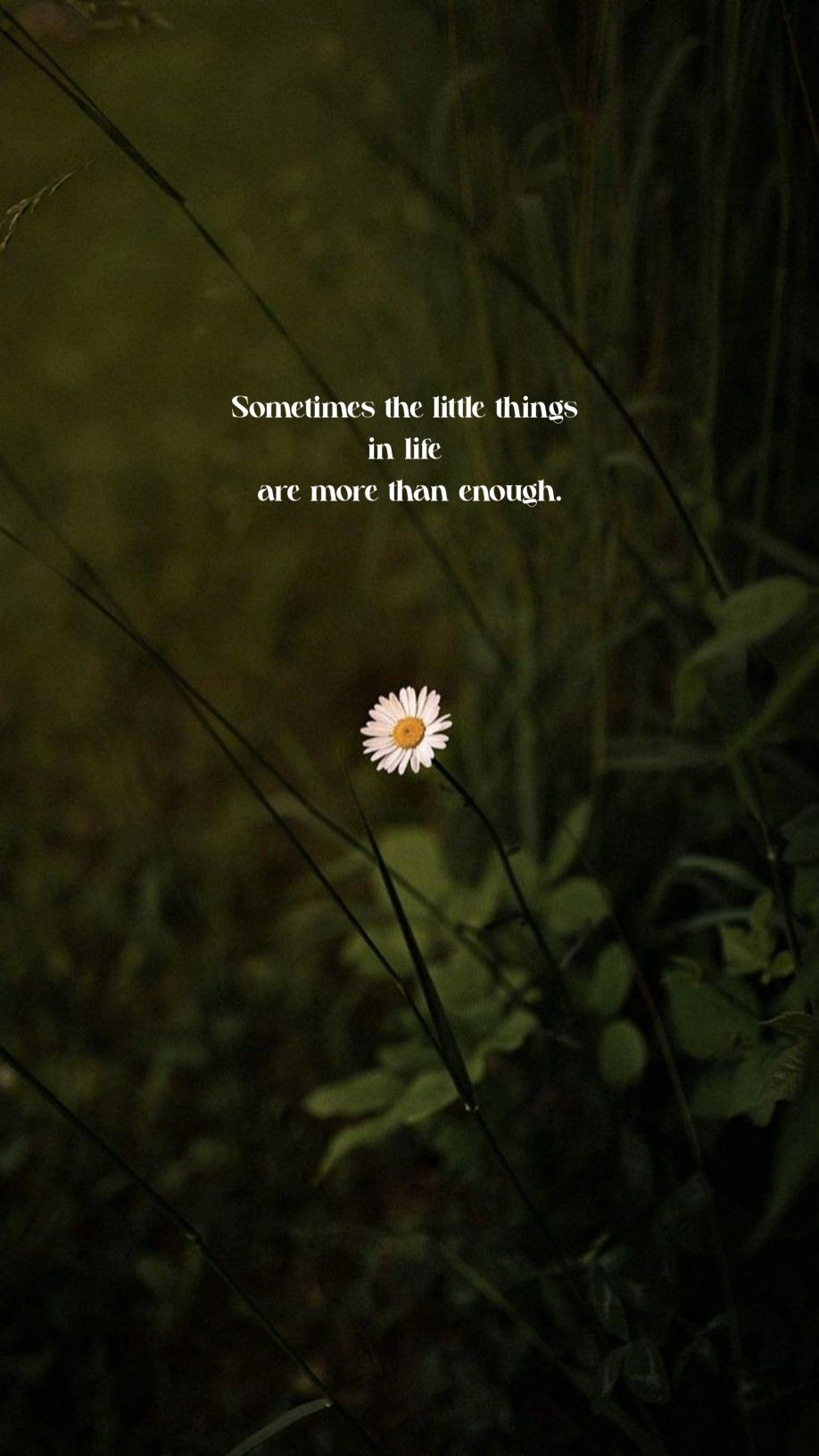 Create Stunning Home Decor with Inspirational Quote Walls