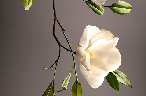 Chic Dutch Interior Design Inspiration Chic Dutch Interior Design Inspiration