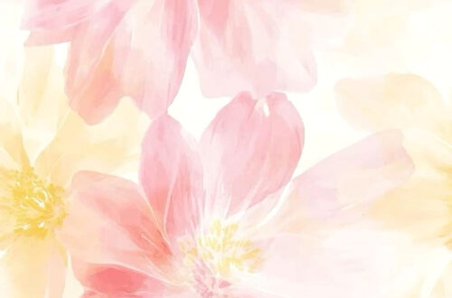 Pastel Dreams: Soft Floral Wallpapers