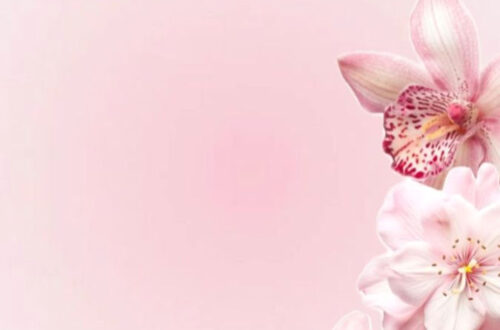 Bloom Your Lock Screen Bloom Your Lock Screen