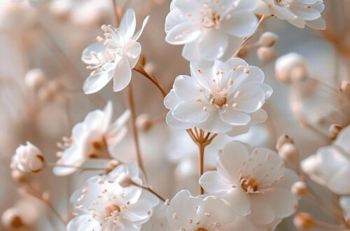 Brighten Up Your Phone with 100+ Spring Vibes Wallpapers