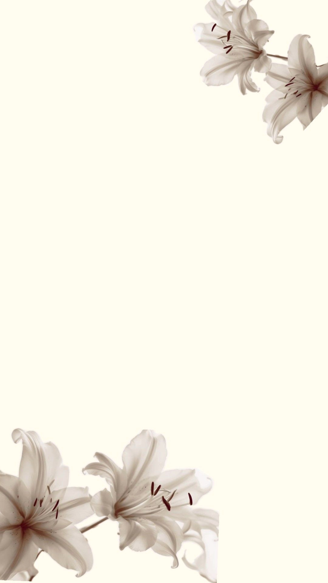 Wake Up to Better Sleep