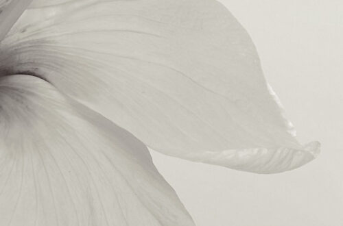 15-Minute Abstract Instagram Stories Background 15-Minute Abstract Instagram Stories Background