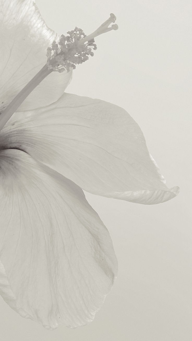 15-Minute Abstract Instagram Stories Background