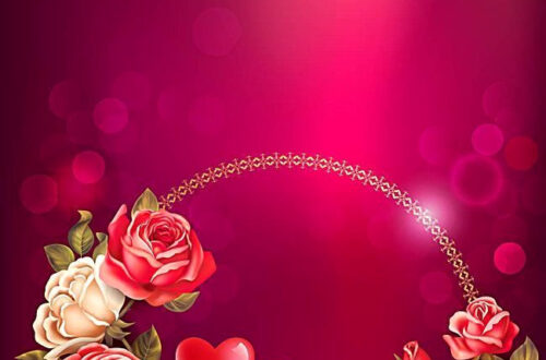 Romantic Purple Rose Backgrounds (Free PNG & Vector) Romantic Purple Rose Backgrounds (Free PNG & Vector)