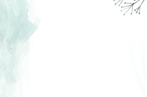 Elevate Your Wedding Videos with Jolly After Effects Extensions