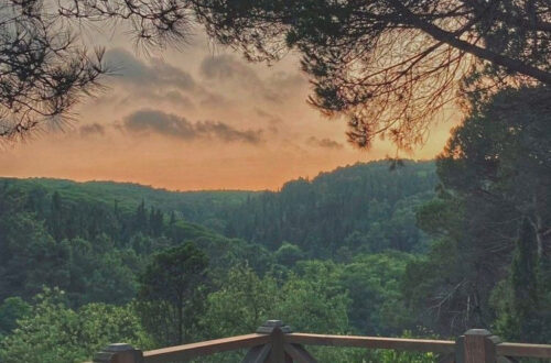 Connect with Nature Connect with Nature