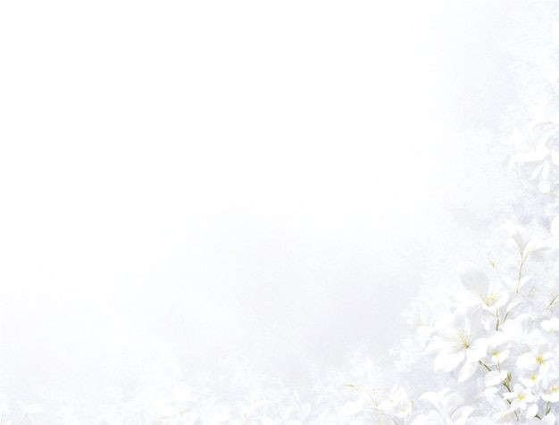 Delicate White Dandelion Blossoms Up Close