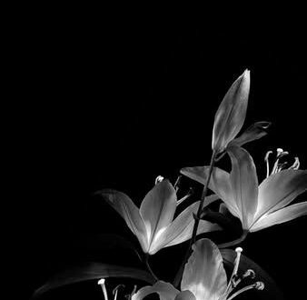 Bold Backgrounds: Download Free HD Wallpapers