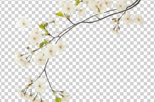 Download Elegant Free Flower Arrangements (PSD) Download Elegant Free Flower Arrangements (PSD)