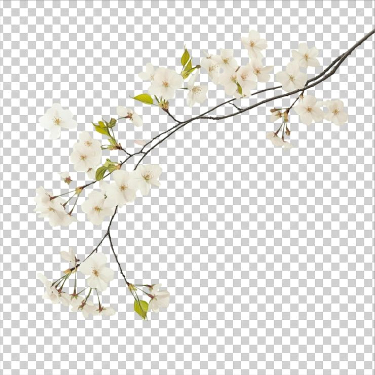 Download Elegant Free Flower Arrangements (PSD)