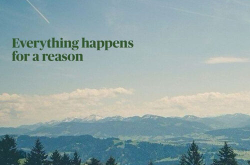 Elevator Transformation on a Budget: 60+ Jaw-Dropping Wallpaper Ideas