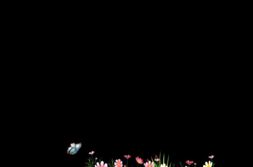 Transforming Your Space with a Powerful Black Background